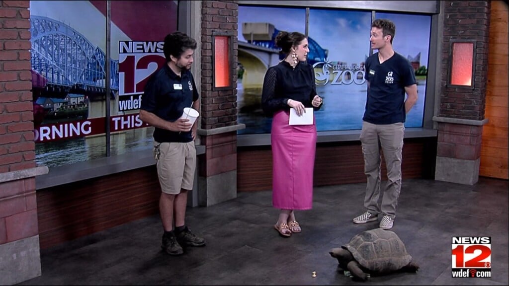 This Morning Chattanooga Zoo