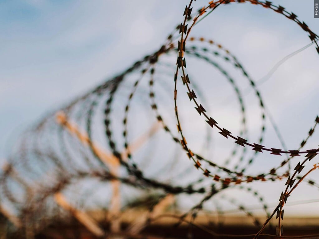 Barbed Wire