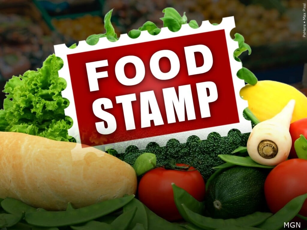 Food Stamps