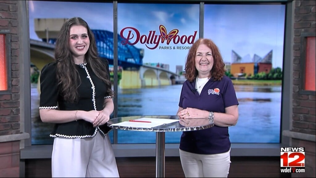 This Morning Dollywood