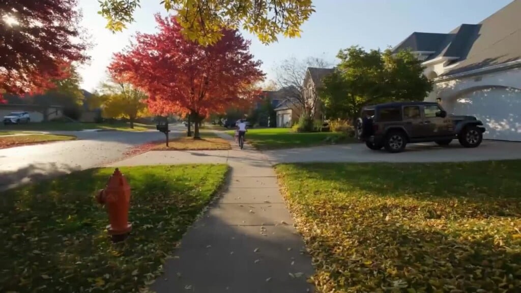 Fall Allergies Create Seasonal Struggles