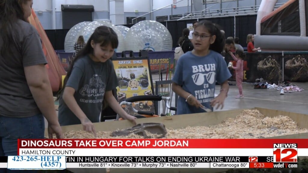 Dinosaurs Take Over Camp Jordan