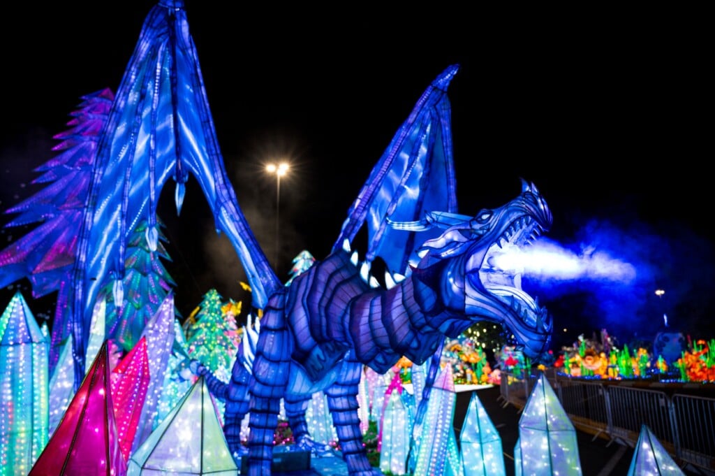 Fire Breathing Dragon Asian Lantern Festival
