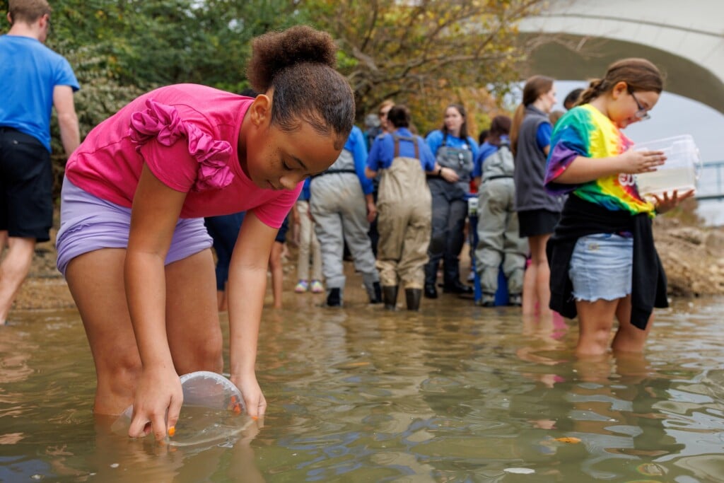2024 Sturgeon Release 01
