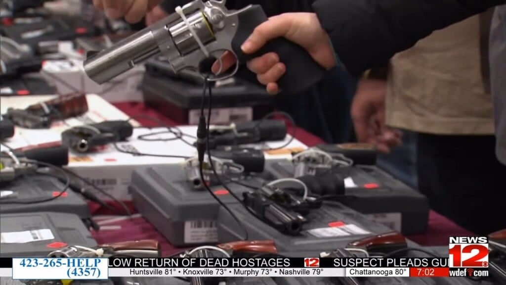 Record Gun Deaths Reported