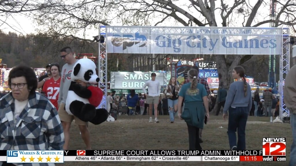 Hamilton County Fair Highlights Fun