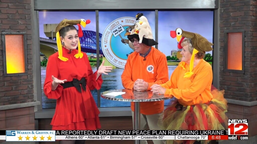 This Morning Grateful Gobbler