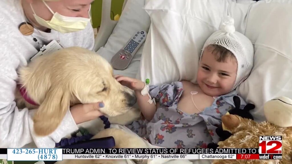 Family Advocates For Pediatric Cancer Reform