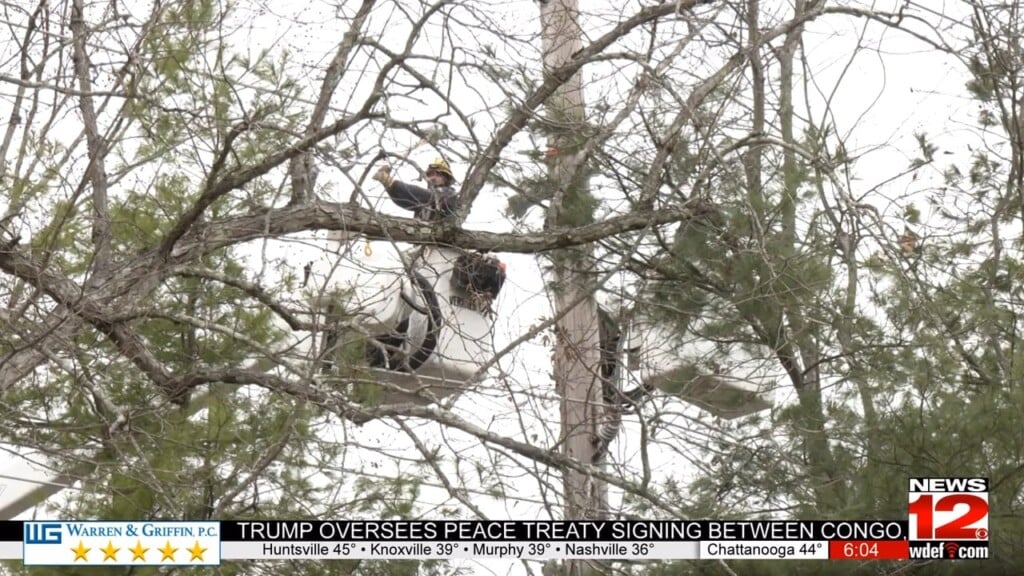 Lookout Mountain Power Outage Cleanup