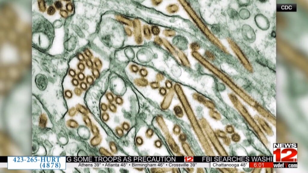 Avian Influenza Hits Poultry Industry