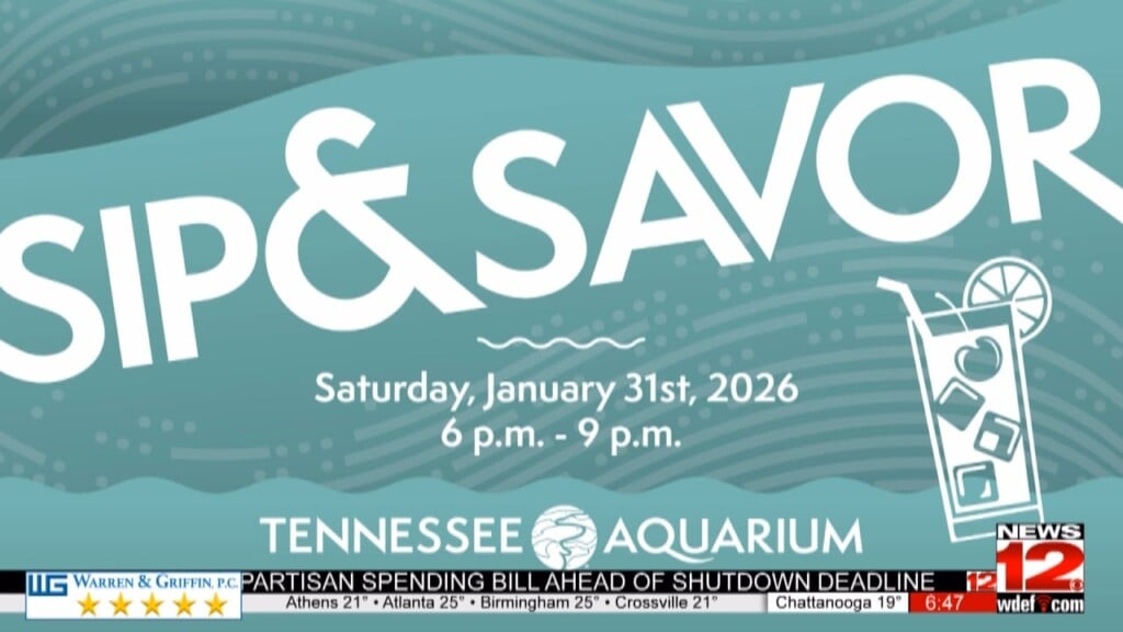 This Morning Tennessee Aquarium