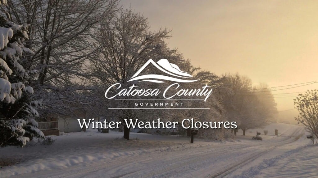 619709304 1197450435904054 3307746283261052870 N 1