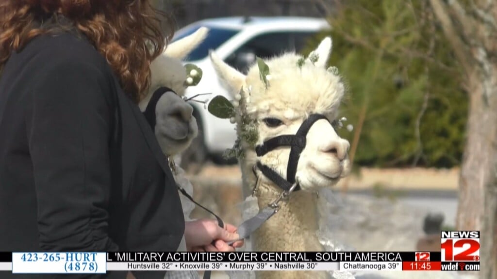 Brides And Grooms To Be Explore Options At Tennessee Valley Bridal Fair