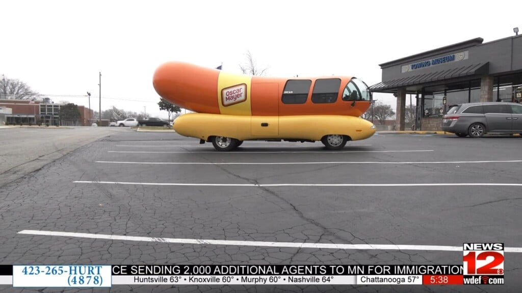 Hotdog On Wheels Bring Smiles