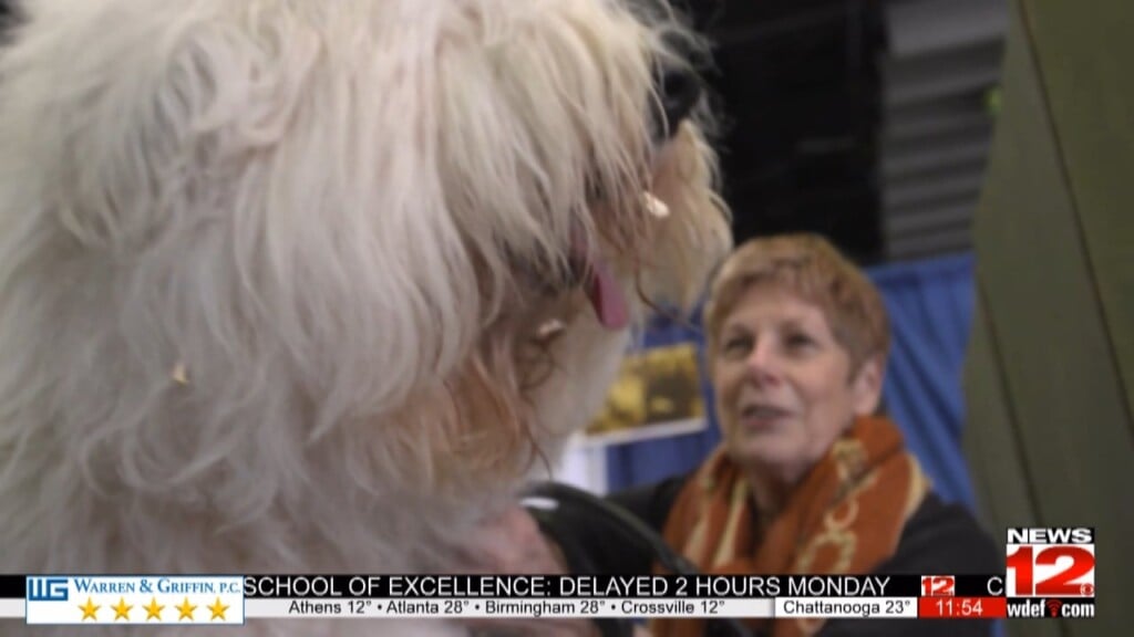 Research Shows Ways To Protect Pets