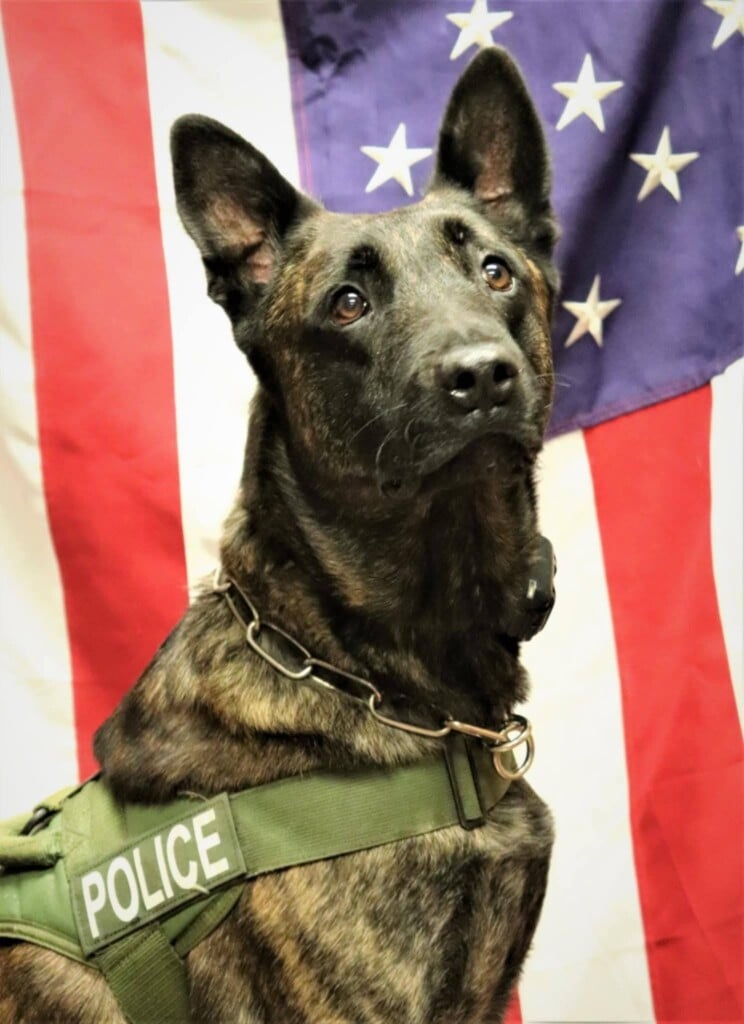 635282447 1324742966357179 8223659208624265220 N