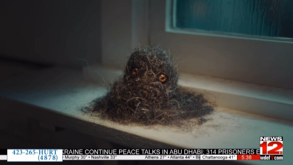 Local Musician Super Bowl Spotlight