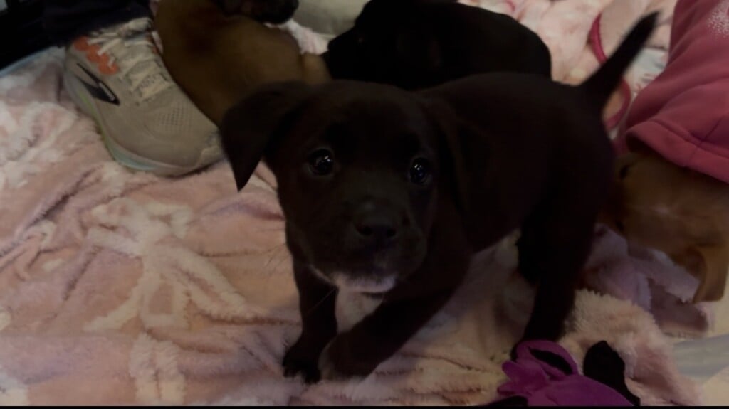 96381bc4 60bf 412f A6f4 508c2e4d107d