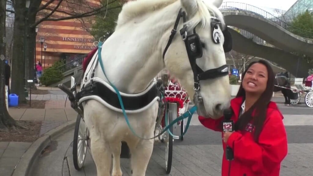 Chattanooga Carriage Company Hosted Its Valentine’s Day Event