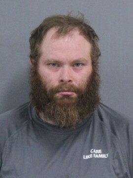 Georgia man pleads guilty to malice murder of Michigan girlfriend - WDEF