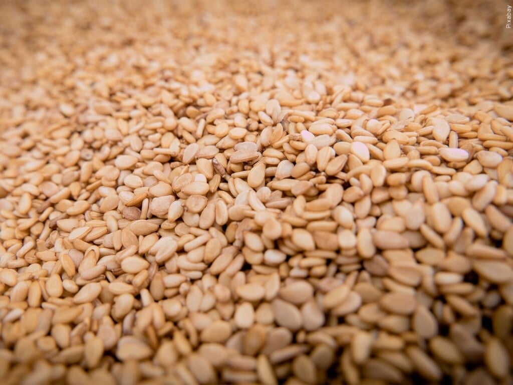 Mgn 1280x960 21229p00 Kaari