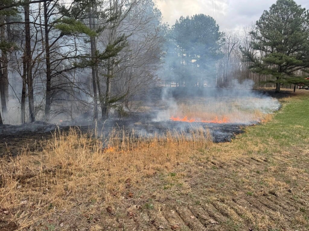 652356986 1419446830221099 9031911760351755283 N