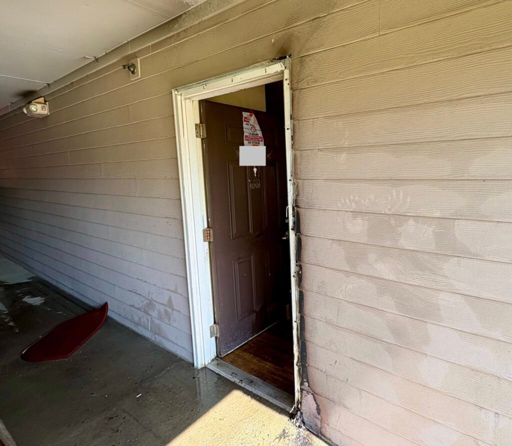 654535688 1338276108336680 7280596831922755215 N