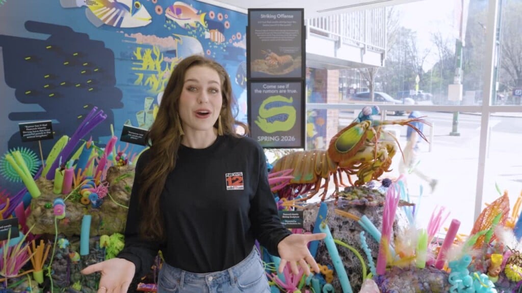 Behind The Curtain: The Scuttlebutt Reef