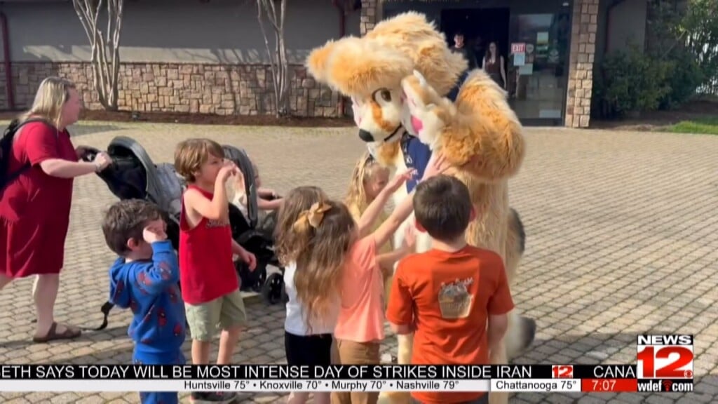 Chattanooga Zoo Introduces First Ever Mascot Finnegan