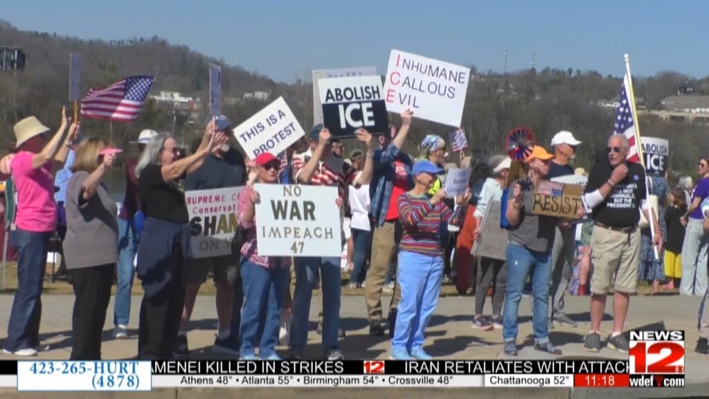 Protesters Fill Ross’s Landing And Speak Out Against Ice Policies