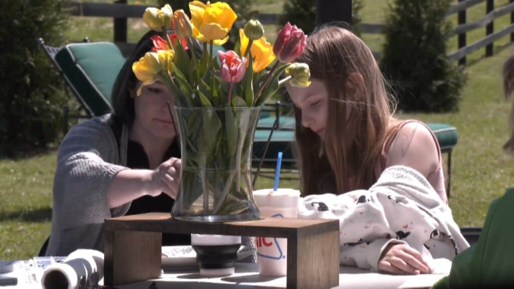 Tulips Bring Colorful Spring Fun