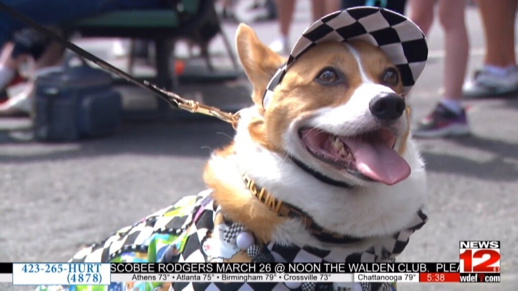 Tickets Sold Out For Fast And Furriest 5k