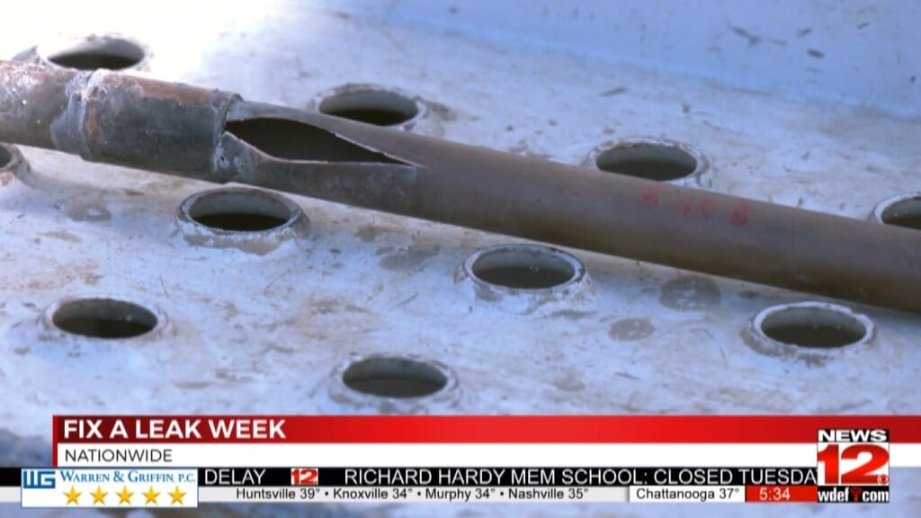 Tips To Stop Water Waste