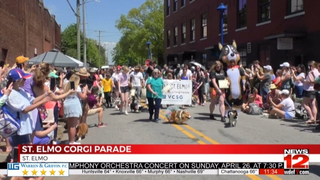 Corgi's Take Over St. Elmo For Chattanooga’s Corgi Parade