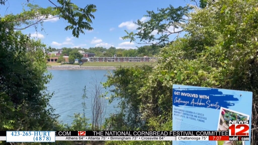 Mcclellan Island Future Vision