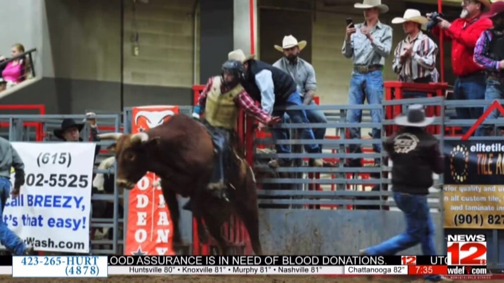 Pro Stampede Rodeo Comes Alive