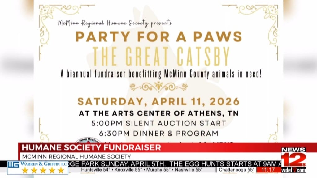 Mcminn Regional Humane Society To Host “party For The Paws” Fundraiser