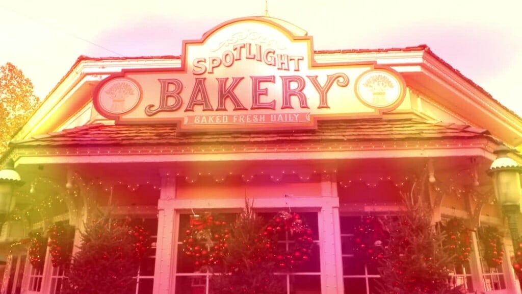 Behind The Curtain: Dollywood Food Edition