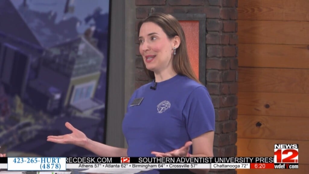 This Morning Tennessee Aquarium