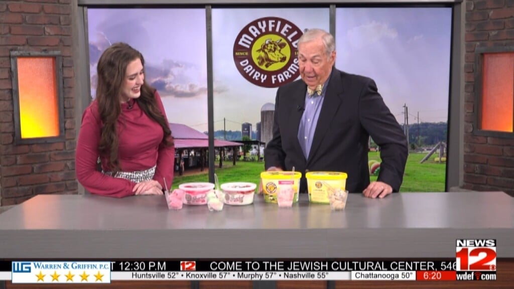 This Morning Mayfield Dairy