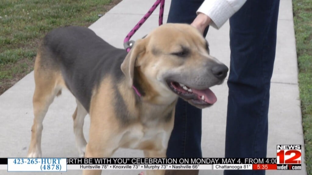 Human Educational Society Says They're "at Capacity"