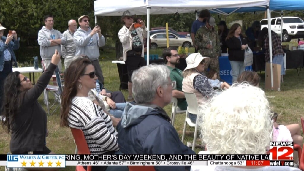 Pollinator Garden Comes Into Bloom