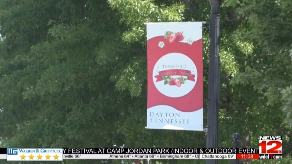 79th Annual Tennessee Strawberry Festival