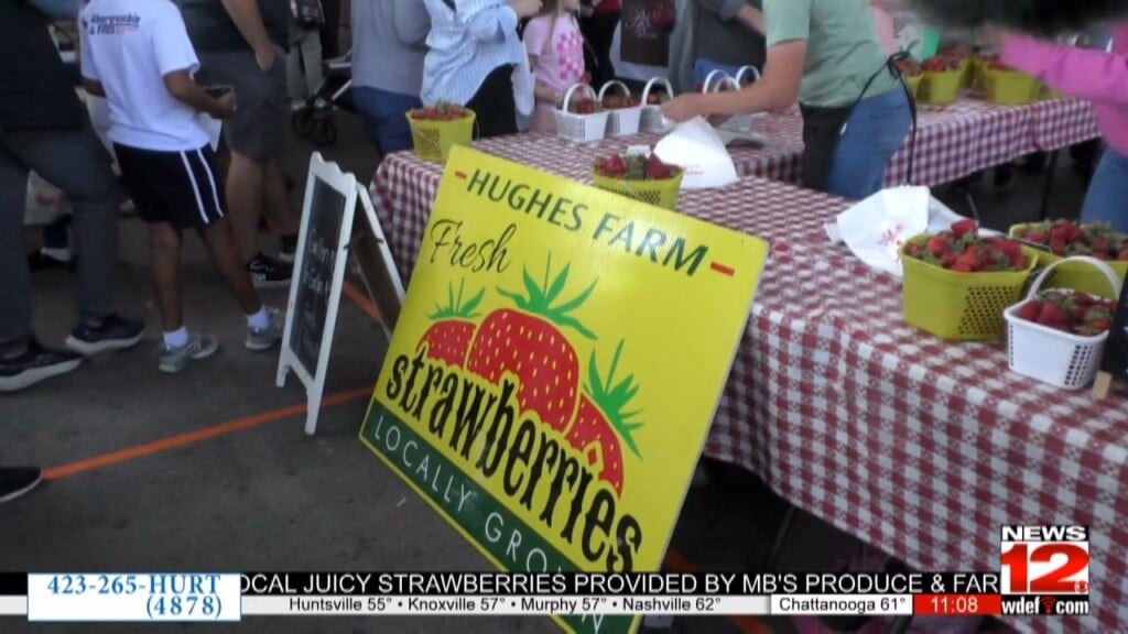 Chattanooga Market Hosts Strawberry Festival