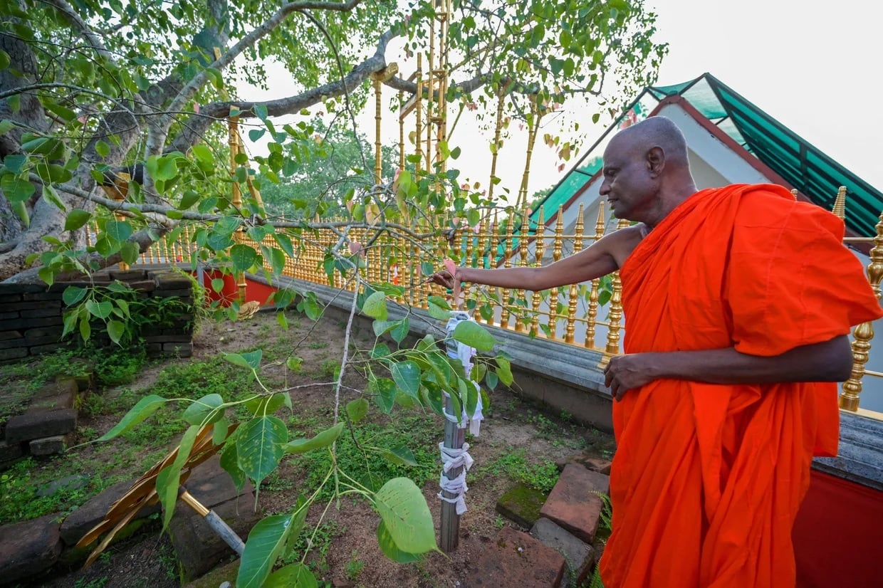 Prominent Buddhist monk arrested over alleged sexual abuse in Sri Lanka