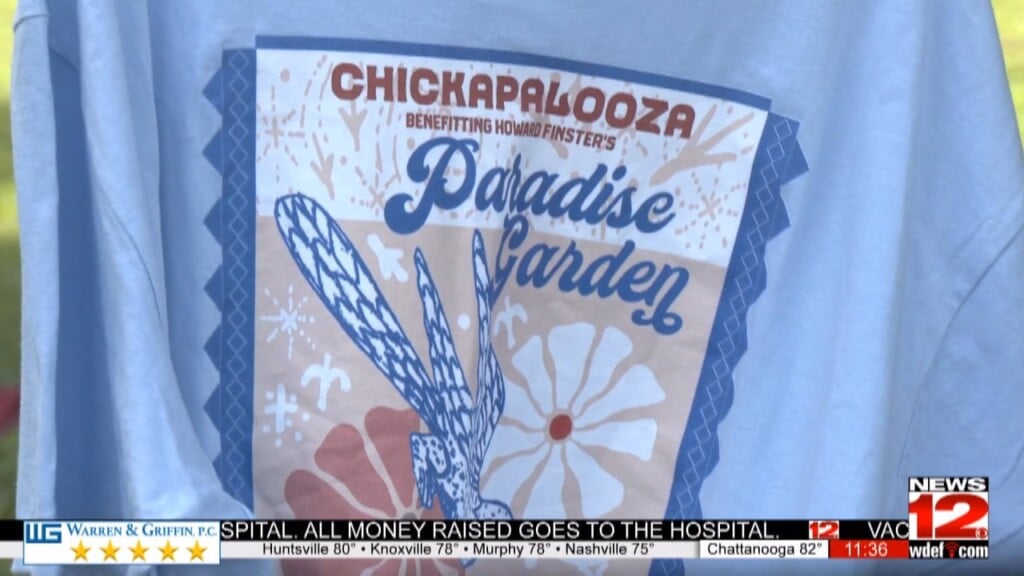 Chickapalooza Brings Crowds To Downtown Chickamauga