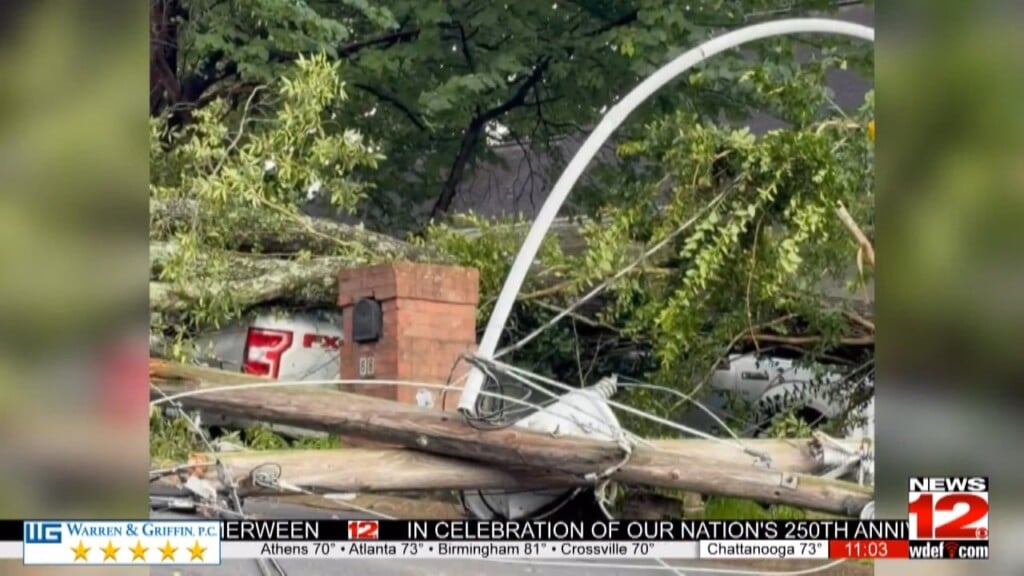 Large Tree Falls On Vehicle Off Burning Bush Road