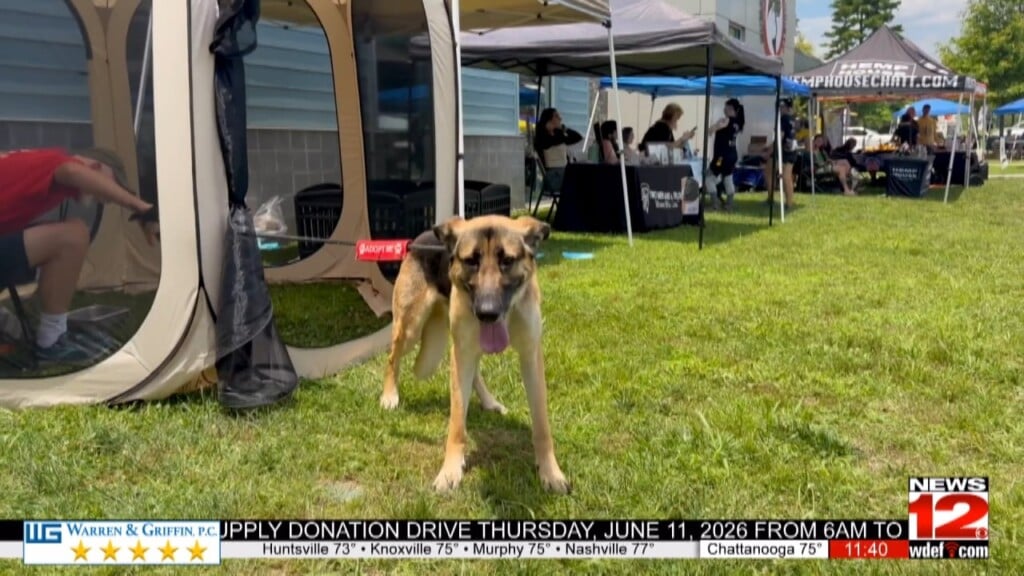 Humane Educational Society Hosts Kelly's 5th Annual Adopt A Thon