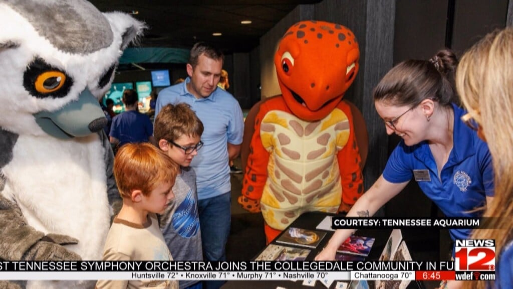 This Morning Tennessee Aquarium