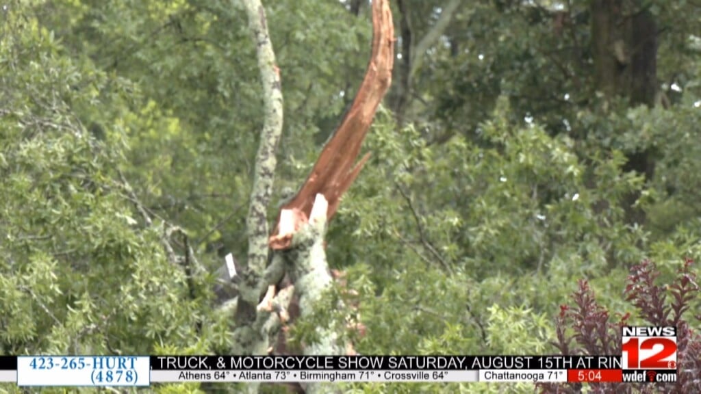 Fallen Tree Damages Lookout Valley Home During Severe Storms